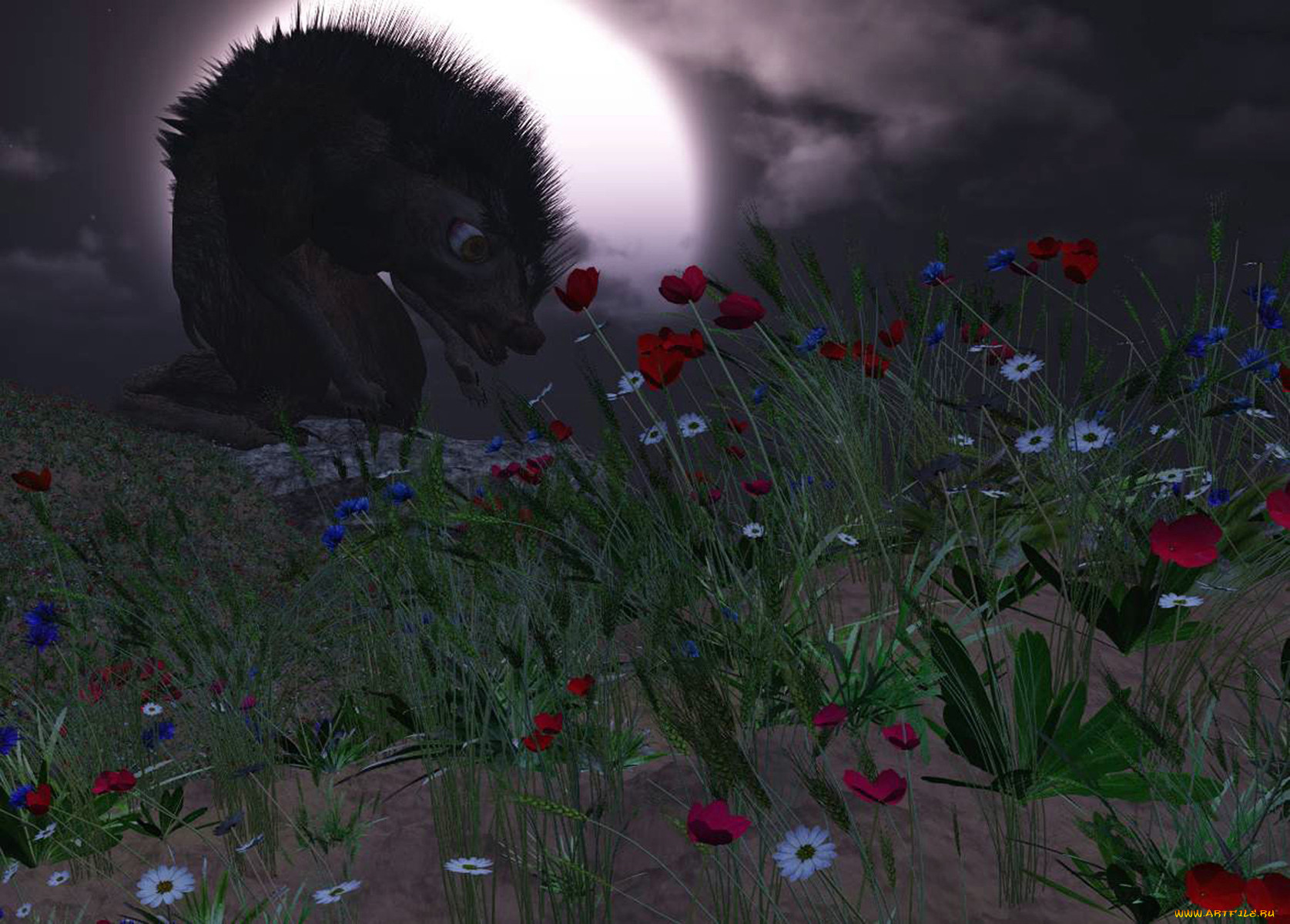 3, , animals, , , 